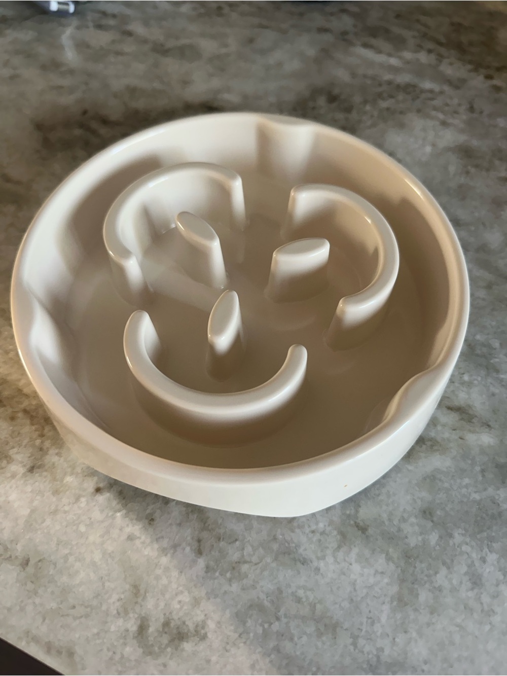 Slow Feed Pet Bowl - Cream Slow Feeder